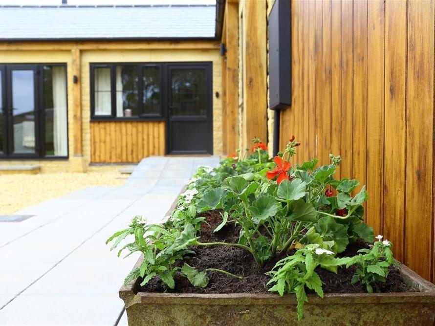 Villa Park Stables Wyck Rissington Esterno foto
